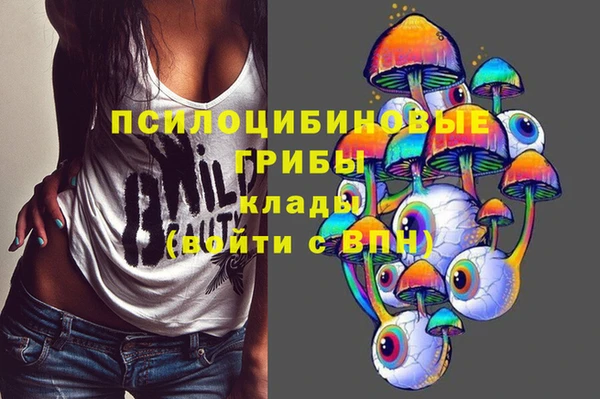 мет Алзамай